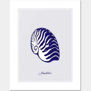 Nautilus Tiger Shell. Blue realistic sea life drawings. Posters and Art